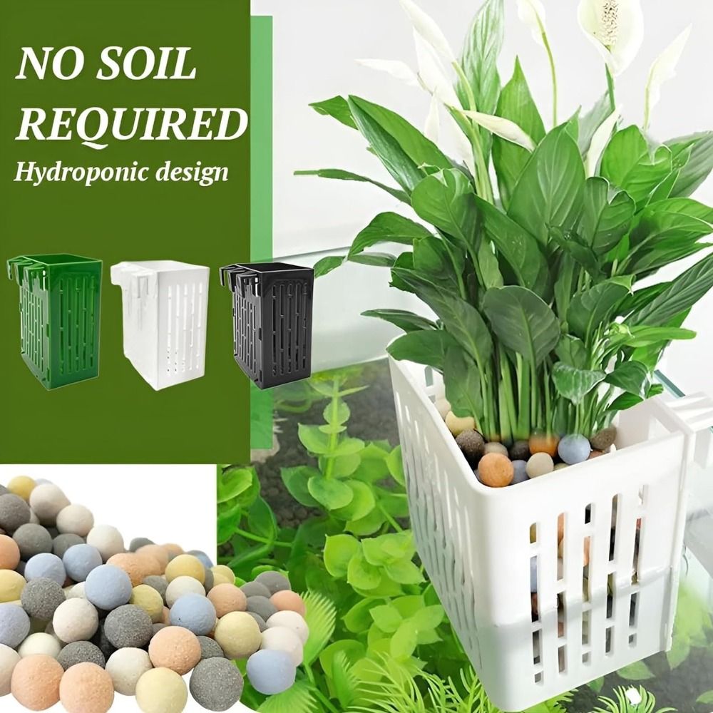 Aquarium Plant Holder - Akwarium z roślinami wodnymi, krajobraz akwarium,
