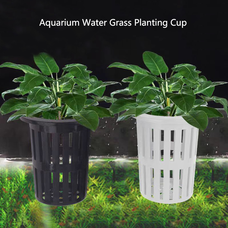 Aquarium Plant Holder - 1/3 szt. Kosz na rośliny akwariowe