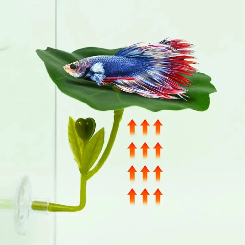 Planted Aquarium Betta - 1 szt. Zielony hamak dla rybki