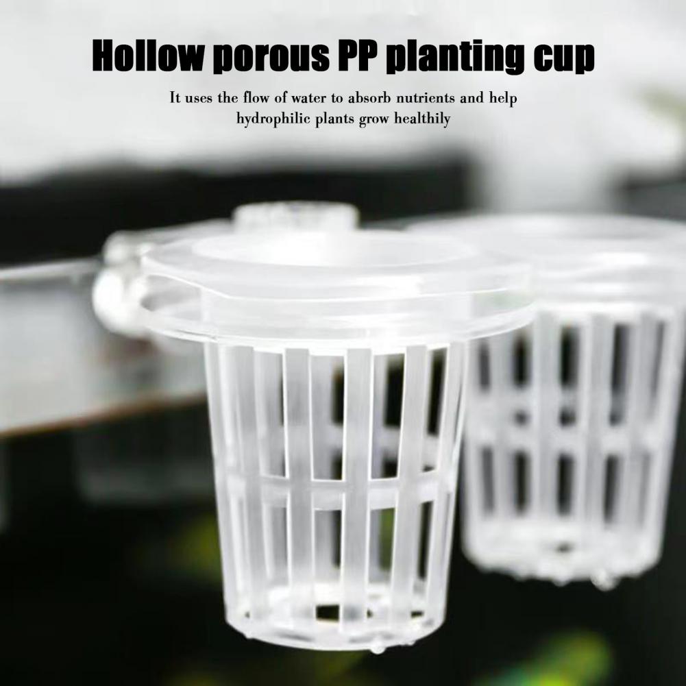 Uchwyt na rośliny akwariowe Na – Aquarium Plant Holder recenzja i cena