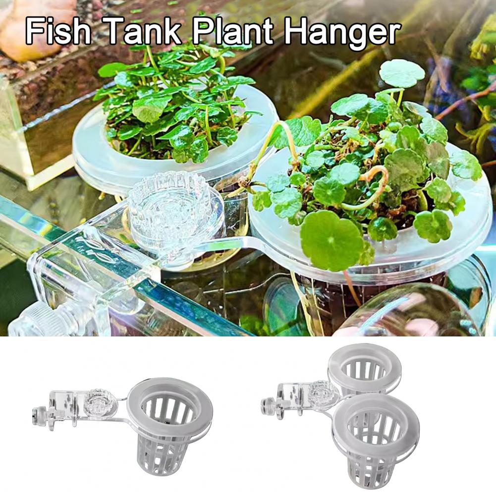 Uchwyt na rośliny akwariowe Na – Aquarium Plant Holder recenzja i cena