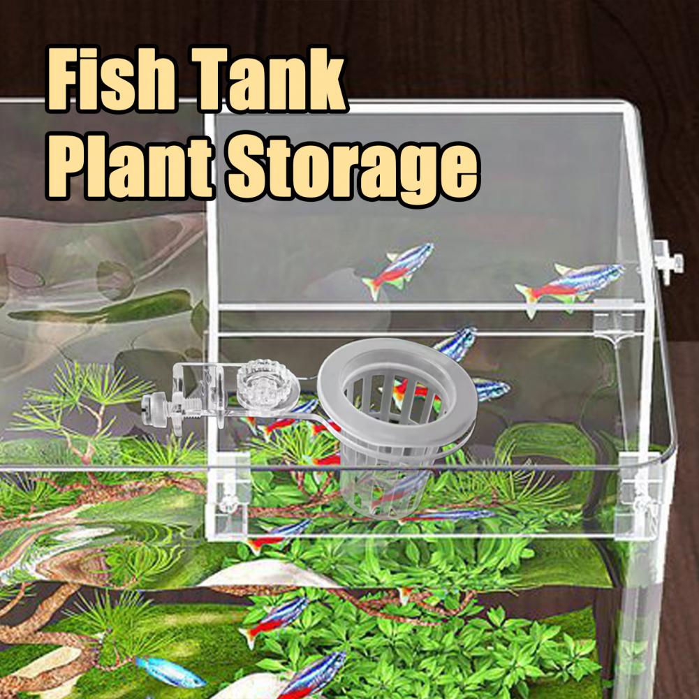 Uchwyt na rośliny akwariowe Na – Aquarium Plant Holder recenzja i cena