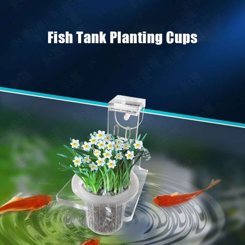 Kubki do sadzenia akwarium Hyd – Aquarium Plant Holder recenzja i cena