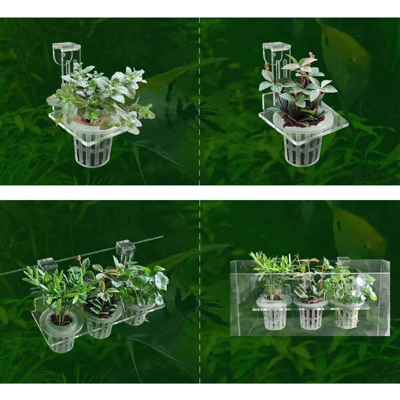 Kubki do sadzenia akwarium Hyd – Aquarium Plant Holder recenzja i cena