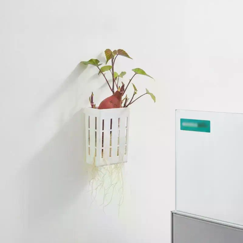 1 szt. Koszyk wspierający do h – Aquarium Plant Holder recenzja i cena