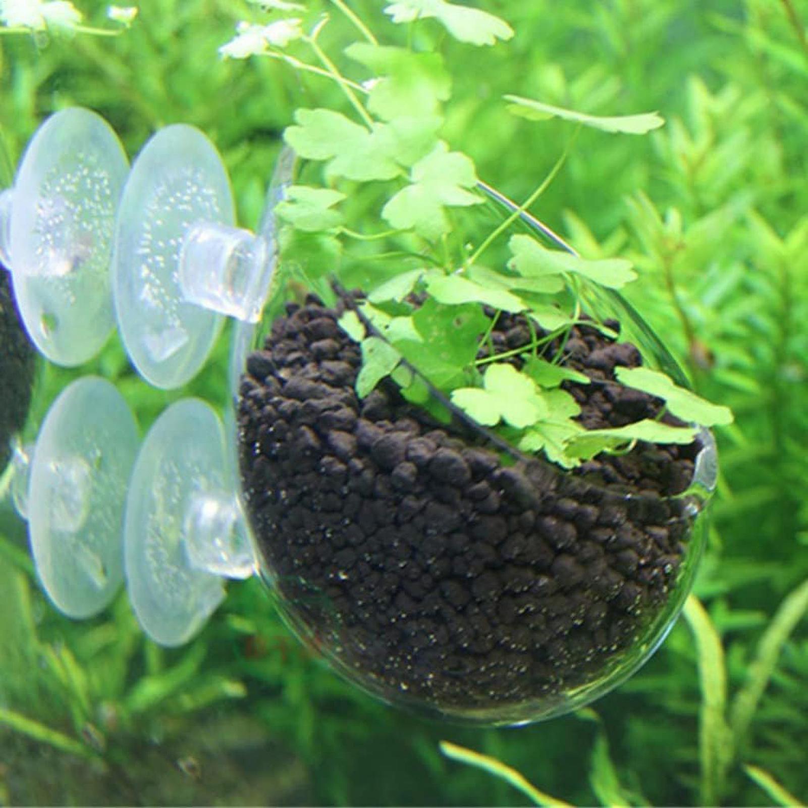Szklany uchwyt na rośliny akwa – Aquarium Plant Holder recenzja i cena