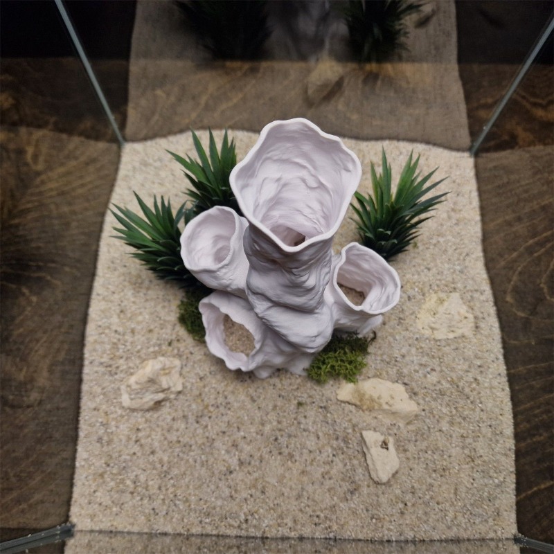 Gorąca Wyprzedaż Drukowany w 3 – Planted Aquarium Betta recenzja i cena