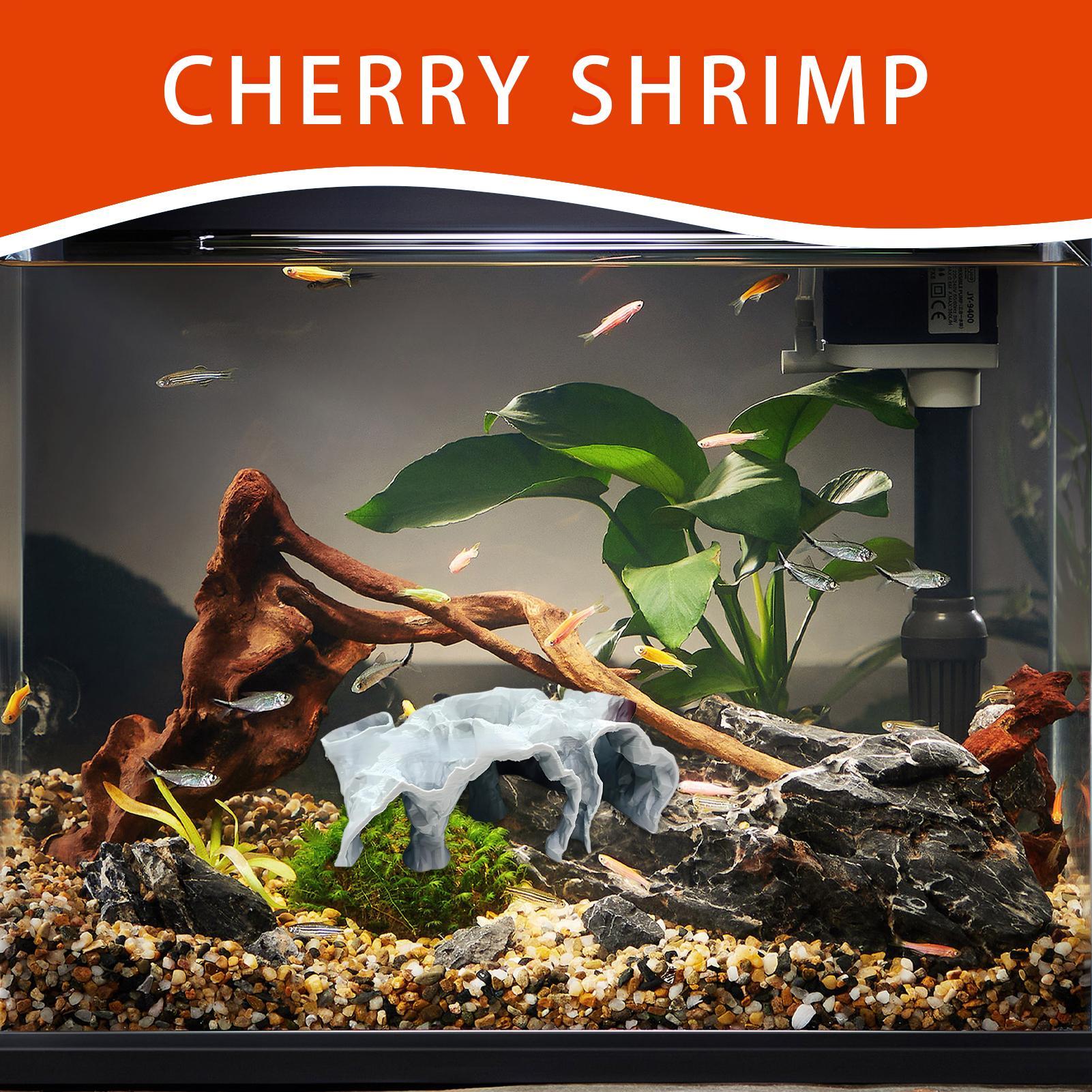 Jaskinia do akwarium, tunel po – Planted Aquarium Betta recenzja i cena