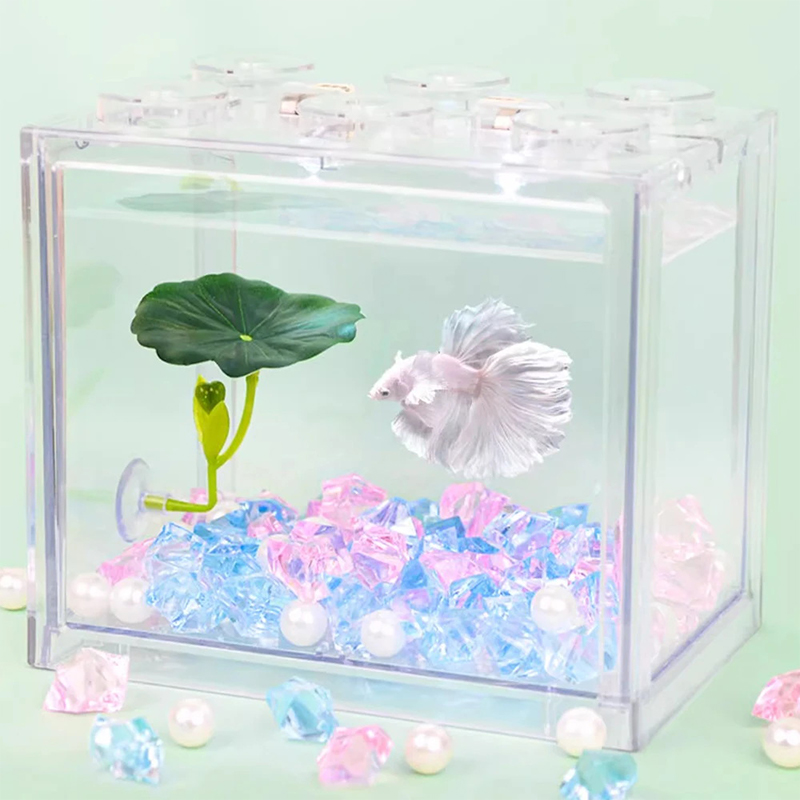 Hamac z zielonych liści dla ry – Planted Aquarium Betta recenzja i cena