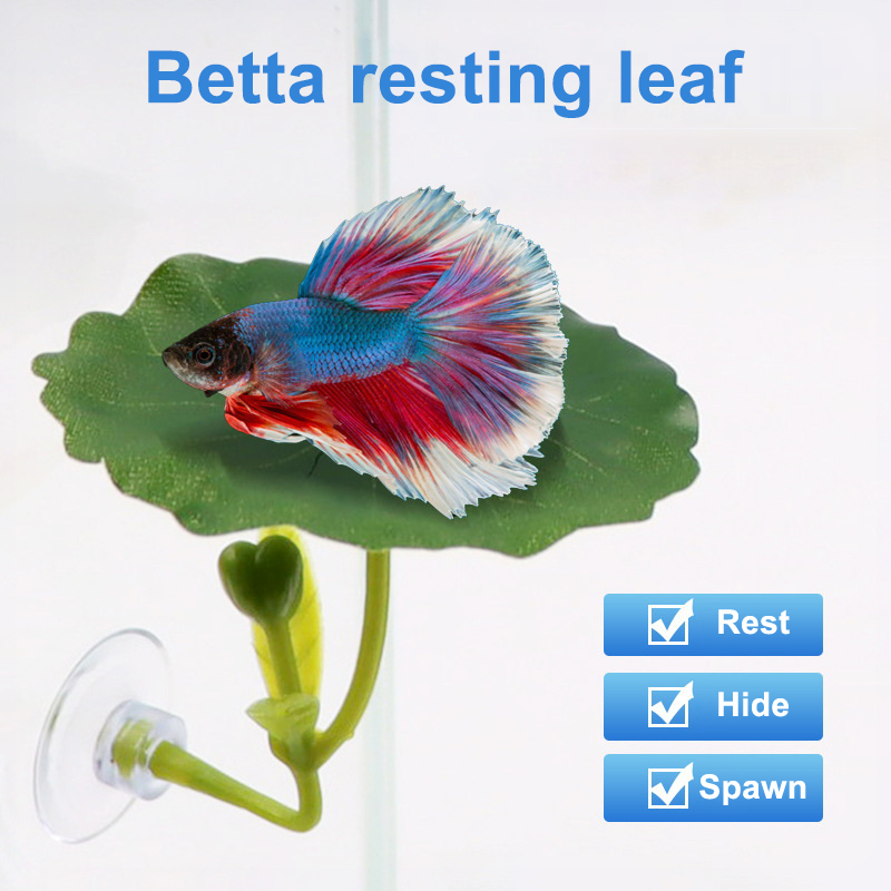Hamac z zielonych liści dla ry – Planted Aquarium Betta recenzja i cena