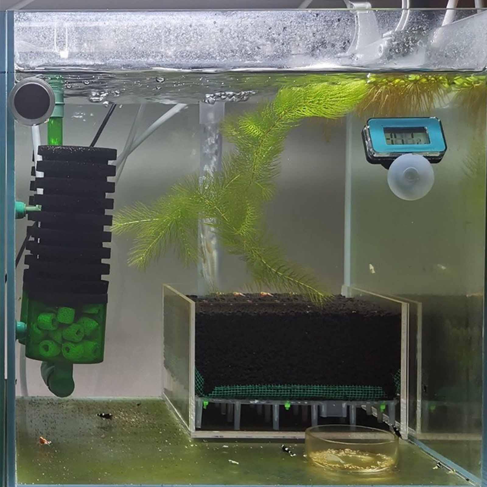 Przezroczysty akrylowy filtr a – Planted Aquarium Undergravel Filter recenzja i cena