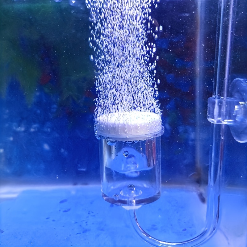 Szklany atomizer CO2 do akwari – Planted Aquarium Parameters recenzja i cena