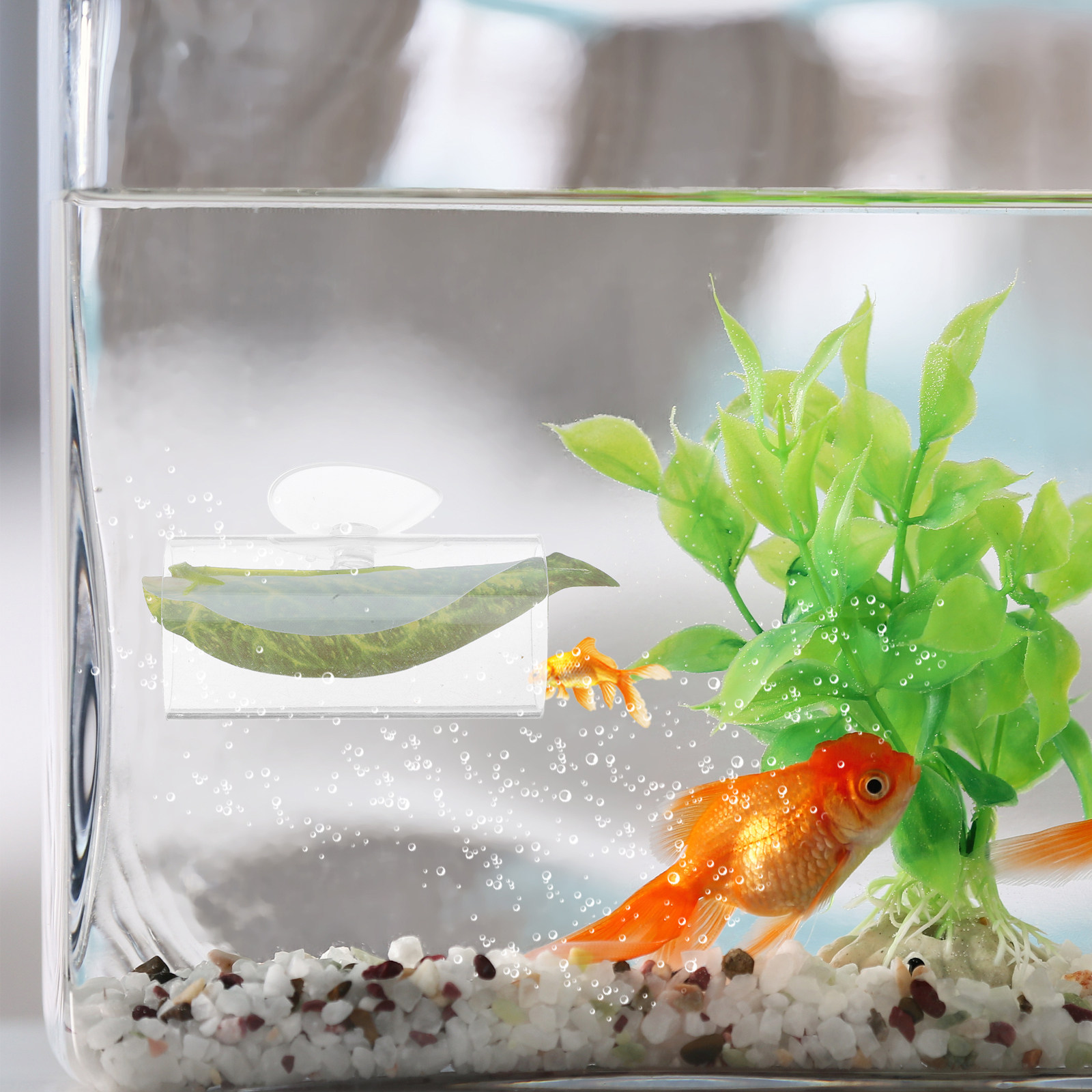 Kryjówka dla betty, tunel akwa – Planted Aquarium Betta recenzja i cena