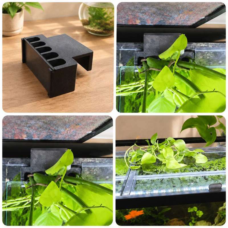Uchwyt do mocowania roślin na  – Aquarium Plant Holder recenzja i cena