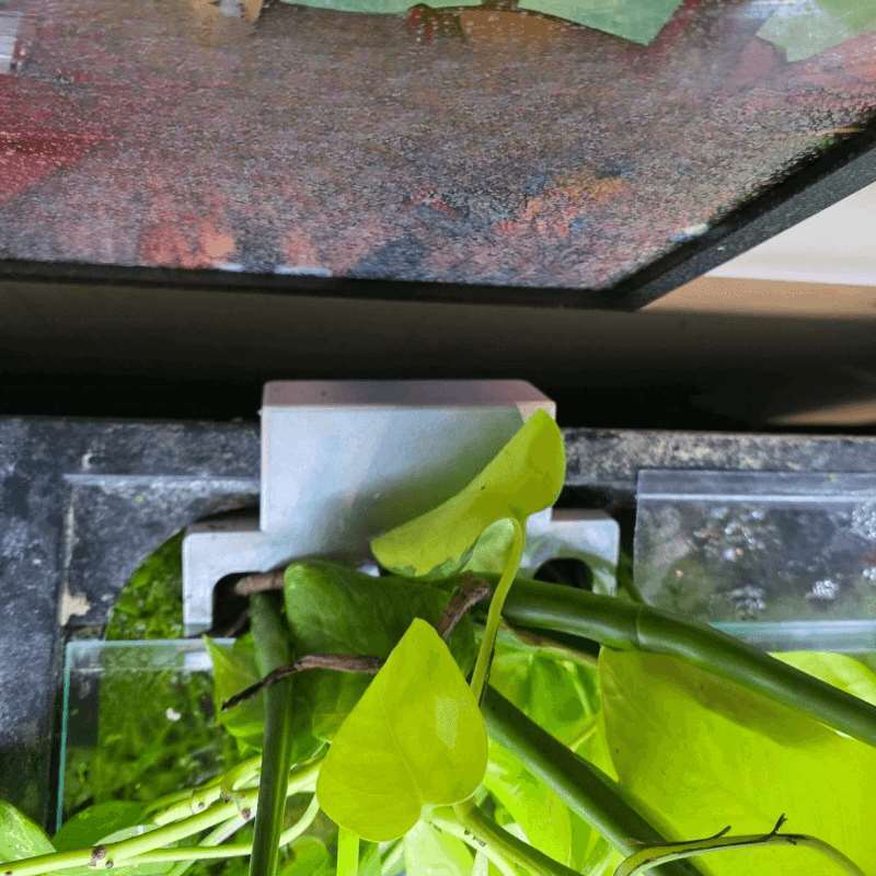 Uchwyt do mocowania roślin na  – Aquarium Plant Holder recenzja i cena