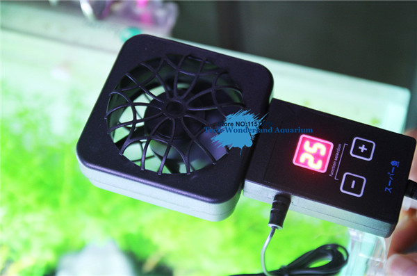 Mini nano clip powiesić na czu – Planted Aquarium Parameters recenzja i cena