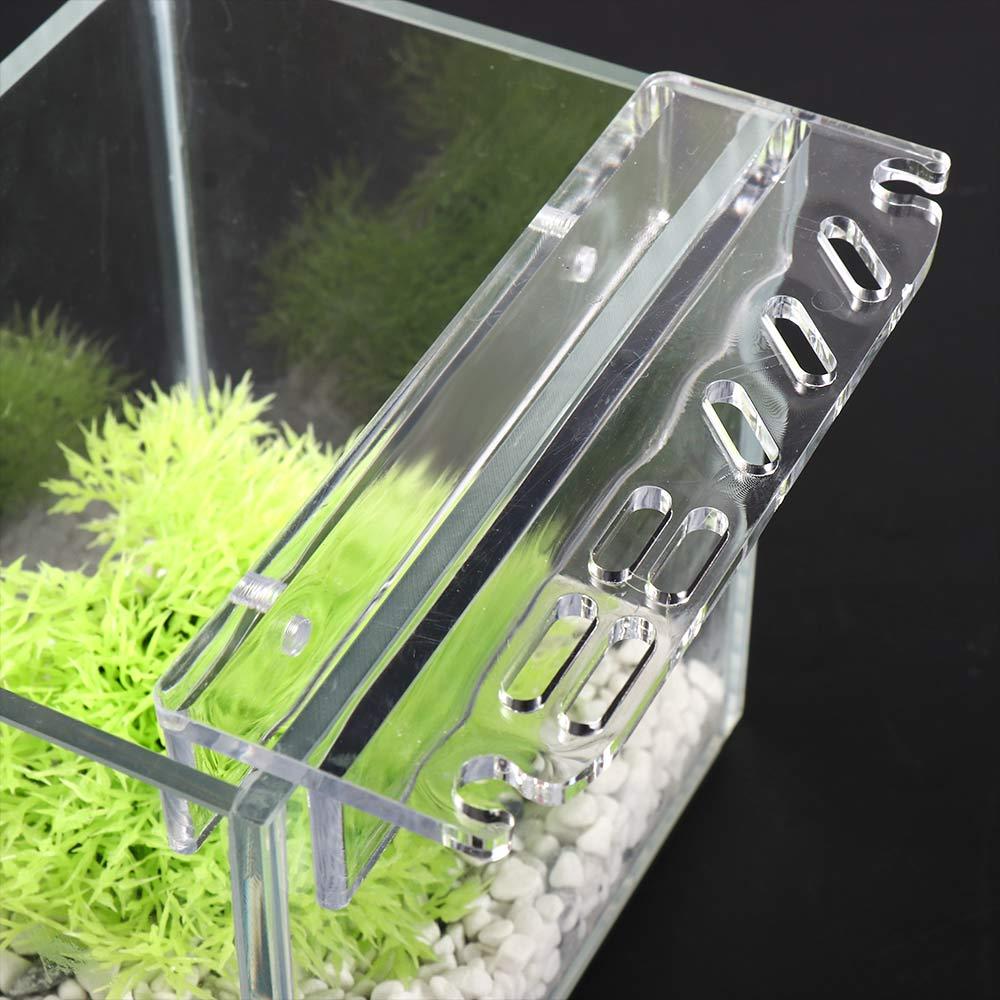 Stojak na akcesoria do czyszcz – Aquarium Plant Holder recenzja i cena