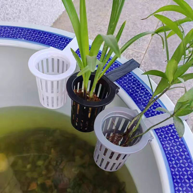 1/3 szt. Kosz na rośliny akwar – Aquarium Plant Holder recenzja i cena