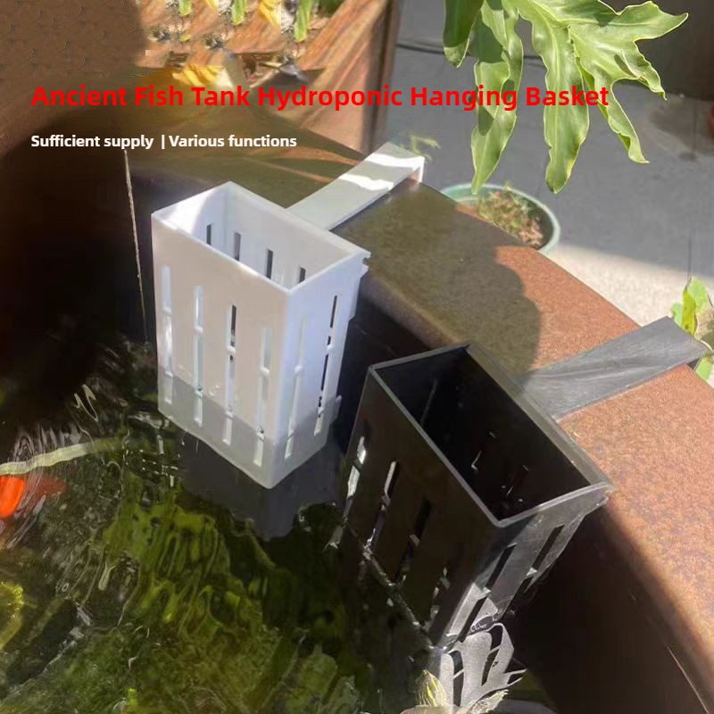 1/3 szt. Kosz na rośliny akwar – Aquarium Plant Holder recenzja i cena