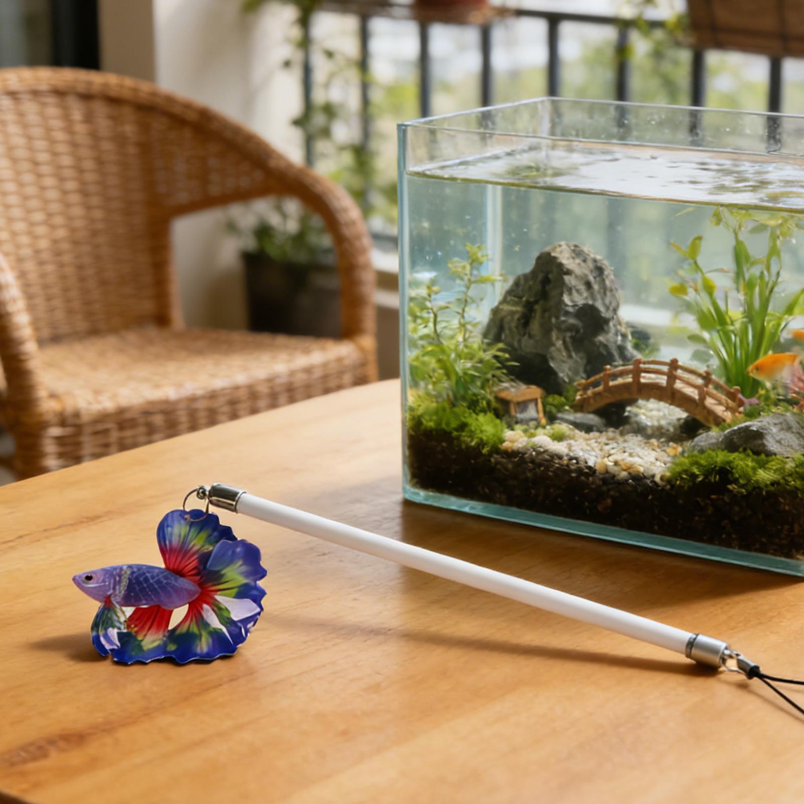 Wędka do treningu ryb Betta, i – Planted Aquarium Betta recenzja i cena