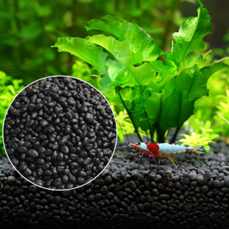 Roślina akwariowa nasiona gleb – Aquarium For Planted Tank recenzja i cena