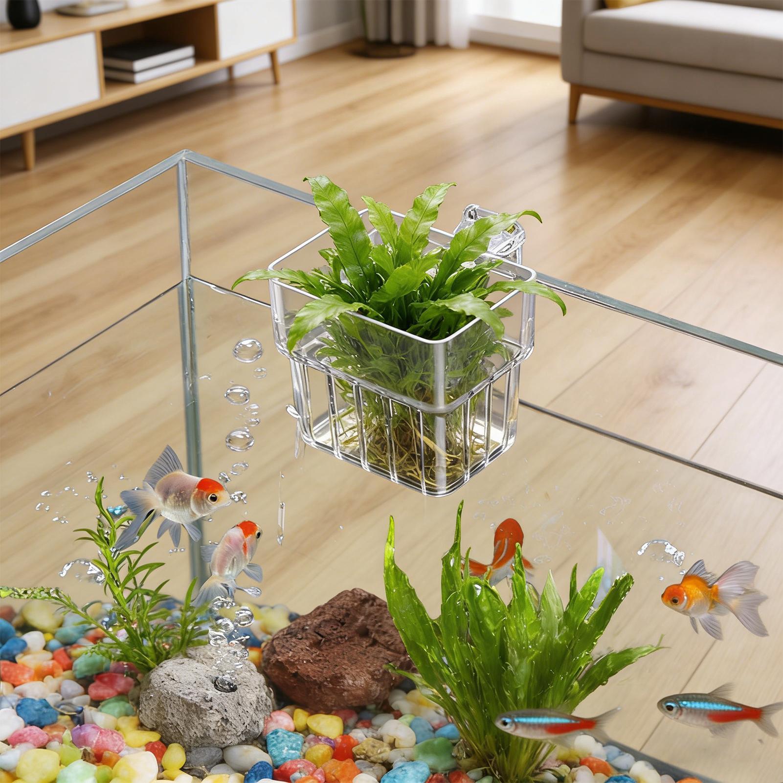 Przezroczysty wiszący kwietnik – Aquarium Plant Holder recenzja i cena