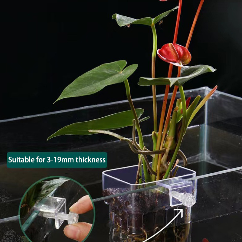 Wielofunkcyjny akwarium dla ry – Aquarium For Planted Tank recenzja i cena