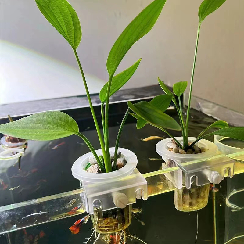 Kosz do sadzenia akwarium Hydr – Aquarium Plant Holder recenzja i cena