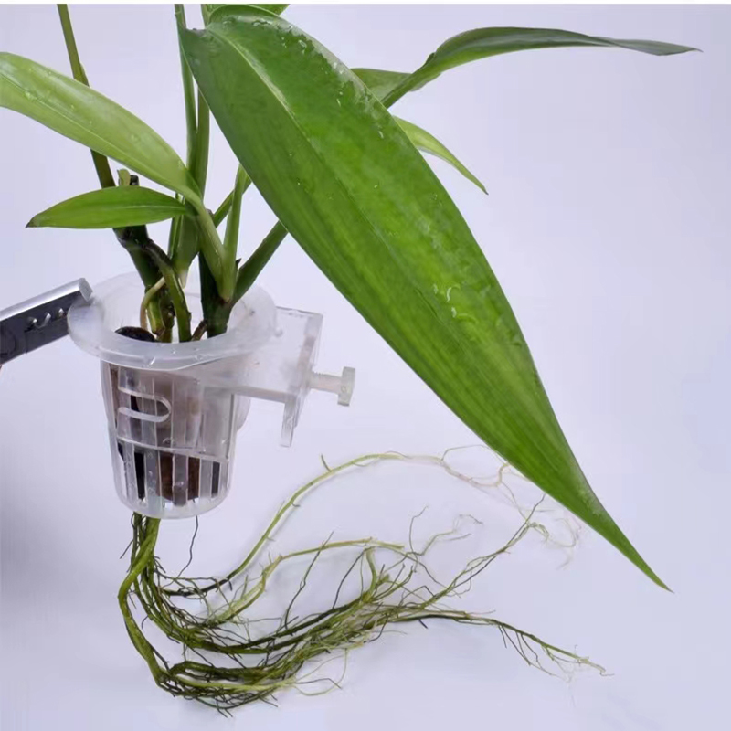 Kosz do sadzenia akwarium Hydr – Aquarium Plant Holder recenzja i cena
